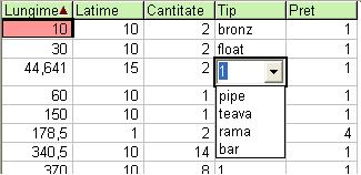 Tip bucată